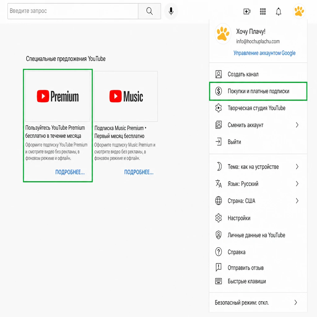 Раздел «Покупки и платные подписки» YouTube с предложением YouTube Premium