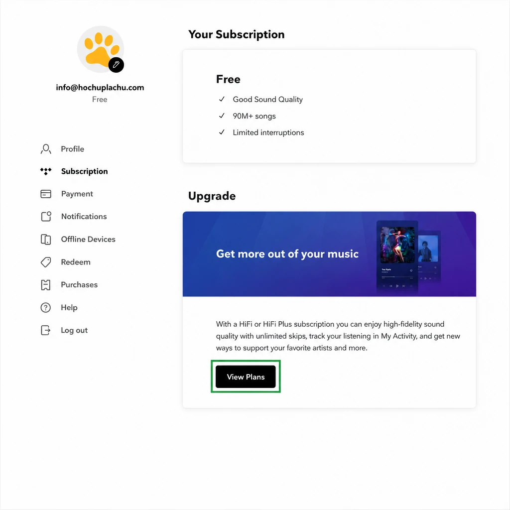 Раздел Subscription в Tidal с выбором тарифа
