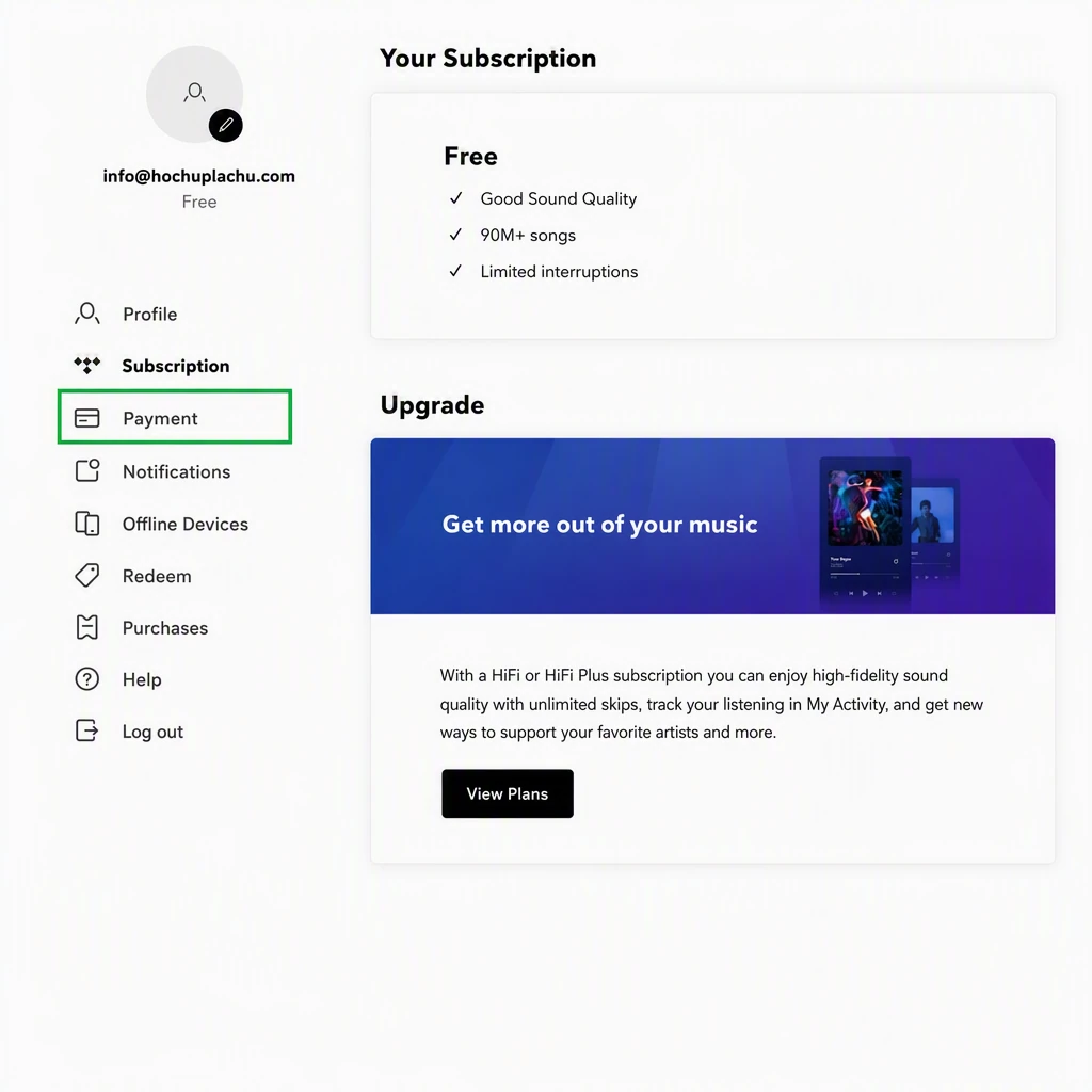 Раздел Payments в настройках Tidal