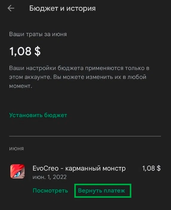 Раздел Бюджет и история в Google Play